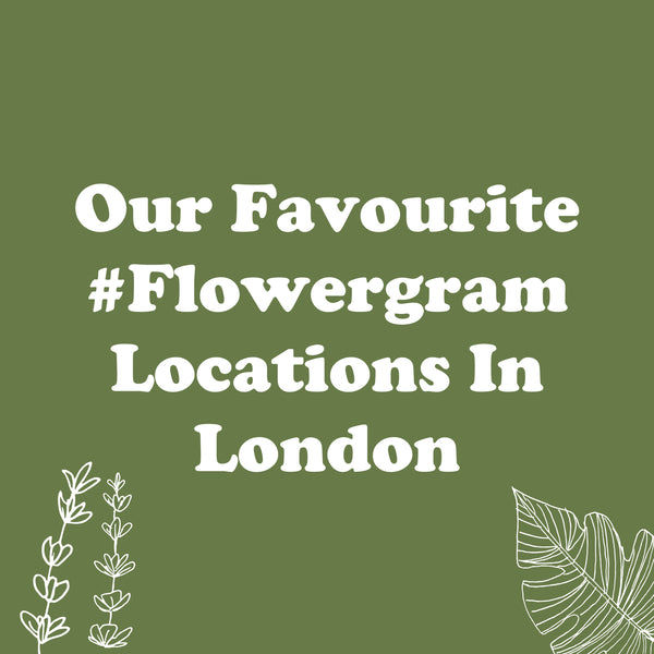 Our Favourite #Flowergam Locations In London -  The Postabloom Instagram Guide To London