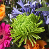 Starburst - Hand-tied Bouquets - Postabloom Flower delivery app