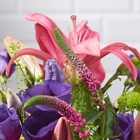Bohemia - Letterbox Bouquets - Postabloom Flower delivery app