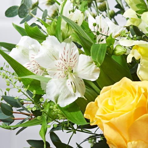 Rise & Shine - Hand-tied Bouquets - Postabloom Flower delivery app
