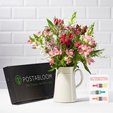 Thoughtful - Letterbox Bouquets - Postabloom Flower delivery app