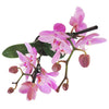 Dark Pink Phalaenopsis Orchid - Plants - Postabloom Flower delivery app