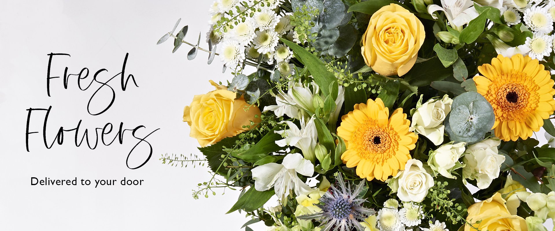 Send fresh letterbox & hand-tied flowers with Postabloom